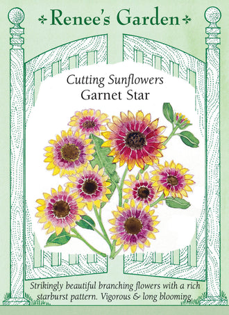 Visuel officiel de Renee's Garden associé aux semences de Tournesol ‘Garnet Star’, référence RN5439. Les fleurs bicolores présentent une étoile rouge grenat et des pointes jaunes. Elles mesurent environ 10 à 15 cm (4 à 6 po). Les plantes ramifiées atteignent environ 1,5 à 1,8 m (5 à 6 pi) et fournissent des tiges pour la coupe.