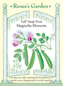 Visuel officiel de Renee's Garden pour les semences « Pois croquant ‘Magnolia Blossom’ », référence RN5444. Ce pois grimpant atteint environ 1,5 à 2,4 m (5 à 8 pi). Ses fleurs pourpres bicolores sont suivies de gousses charnues, croquantes et douces. Le semencier décrit une récolte prolongée lorsque les cueillettes sont régulières. Les tiges ont besoin d’un support accessible pour faciliter les passages de récolte.