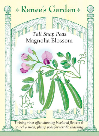 Visuel officiel de Renee's Garden pour les semences « Pois croquant ‘Magnolia Blossom’ », référence RN5444. Ce pois grimpant atteint environ 1,5 à 2,4 m (5 à 8 pi). Ses fleurs pourpres bicolores sont suivies de gousses charnues, croquantes et douces. Le semencier décrit une récolte prolongée lorsque les cueillettes sont régulières. Les tiges ont besoin d’un support accessible pour faciliter les passages de récolte.