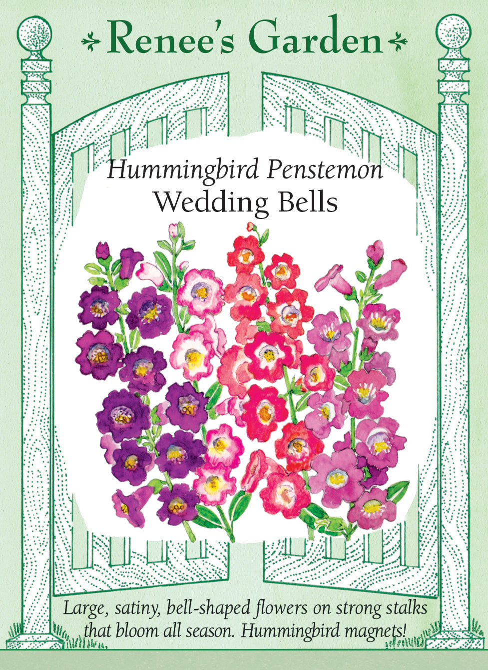 Visuel officiel de Renee's Garden associé aux semences de Penstémons en mélange Wedding Bells, référence RN5446. Les grandes fleurs en cloche présentent des tons lavande, corail, roses, violets et crème, unis ou marqués. Les hampes atteignent environ 45 à 60 cm (18 à 24 po) au-dessus d’un feuillage lustré. Les fleurs attirent les pollinisateurs et conviennent aux bouquets.