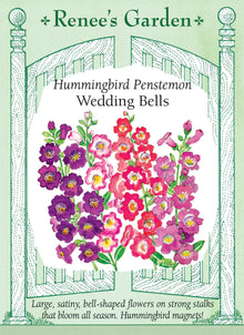 Visuel officiel de Renee's Garden associé aux semences de Penstémons en mélange Wedding Bells, référence RN5446. Les grandes fleurs en cloche présentent des tons lavande, corail, roses, violets et crème, unis ou marqués. Les hampes atteignent environ 45 à 60 cm (18 à 24 po) au-dessus d’un feuillage lustré. Les fleurs attirent les pollinisateurs et conviennent aux bouquets.