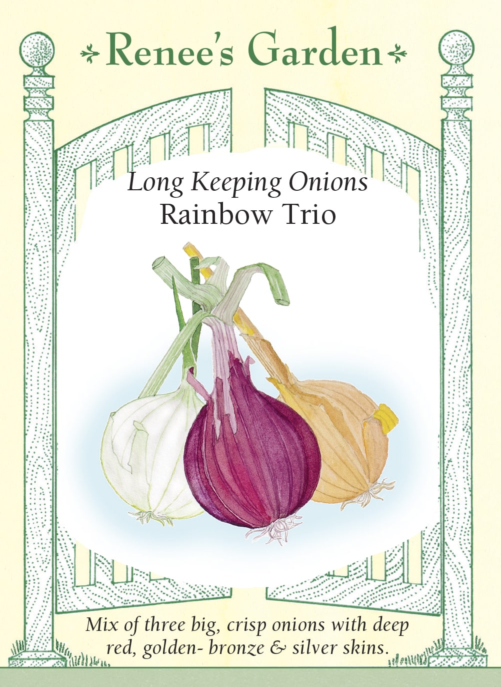 Visuel officiel de Renee's Garden pour les semences « Oignons en mélange Rainbow Trio », référence RN5447. Ce mélange contient à parts égales ‘Red Label F1’, ‘White Wing F1’ et ‘Almagro F1’. Il réunit des oignons rouges, blancs et dorés, de photopériode intermédiaire selon le semencier. Les bulbes sont décrits comme gros, fermes et aptes à la conservation. Les trois couleurs offrent des possibilités variées pour la cuisine quotidienne.