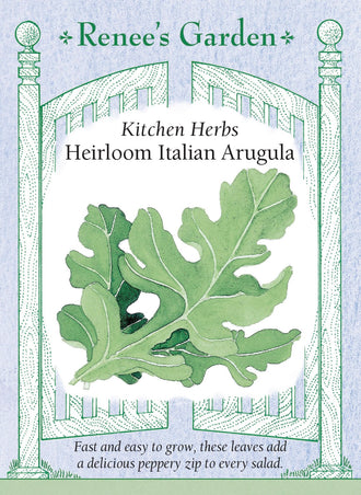 Visuel officiel de Renee's Garden pour les semences « Roquette cultivée », référence RN5450. Cette roquette porte des feuilles à saveur poivrée, destinées aux salades et aux préparations rapidement sautées. Le semencier l’identifie comme Eruca sativa. Son goût plus relevé peut compléter des laitues douces, des tomates ou des préparations de légumes. Les feuilles peuvent être récoltées jeunes pour profiter de leur tendreté dans les préparations fraîches.