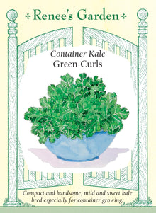 Visuel officiel de Renee's Garden pour les semences « Chou frisé ‘Green Curls’ », référence RN5451. Ce chou frisé compact atteint environ 38 cm (15 po), ce qui le rend intéressant pour les contenants. Les feuilles bleu-vert foncé sont fortement froncées et portées par de courtes tiges. Le semencier décrit une texture tendre et une saveur douce rappelant la noisette. Les récoltes peuvent être échelonnées en prélevant les feuilles tout en préservant le centre du plant.