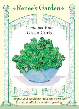 Visuel officiel de Renee's Garden pour les semences « Chou frisé ‘Green Curls’ », référence RN5451. Ce chou frisé compact atteint environ 38 cm (15 po), ce qui le rend intéressant pour les contenants. Les feuilles bleu-vert foncé sont fortement froncées et portées par de courtes tiges. Le semencier décrit une texture tendre et une saveur douce rappelant la noisette. Les récoltes peuvent être échelonnées en prélevant les feuilles tout en préservant le centre du plant.