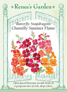 Visuel officiel de Renee's Garden associé aux semences de Mufliers en mélange Chantilly Summer Flame, référence RN5453. Les fleurs ouvertes en cloche présentent des tons abricot bronze, orange soutenu et rouge vermillon, parfois avec une gorge plus claire. Les plantes ramifiées dès la base atteignent environ 75 cm (2½ pi). Leurs épis fleuris conviennent aux bouquets.