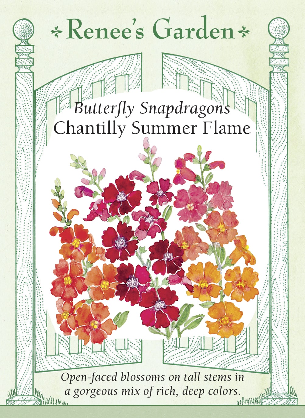 Visuel officiel de Renee's Garden associé aux semences de Mufliers en mélange Chantilly Summer Flame, référence RN5453. Les fleurs ouvertes en cloche présentent des tons abricot bronze, orange soutenu et rouge vermillon, parfois avec une gorge plus claire. Les plantes ramifiées dès la base atteignent environ 75 cm (2½ pi). Leurs épis fleuris conviennent aux bouquets.