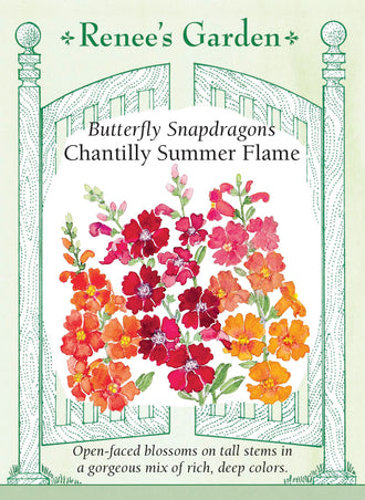 Visuel officiel de Renee's Garden associé aux semences de Mufliers en mélange Chantilly Summer Flame, référence RN5453. Les fleurs ouvertes en cloche présentent des tons abricot bronze, orange soutenu et rouge vermillon, parfois avec une gorge plus claire. Les plantes ramifiées dès la base atteignent environ 75 cm (2½ pi). Leurs épis fleuris conviennent aux bouquets.