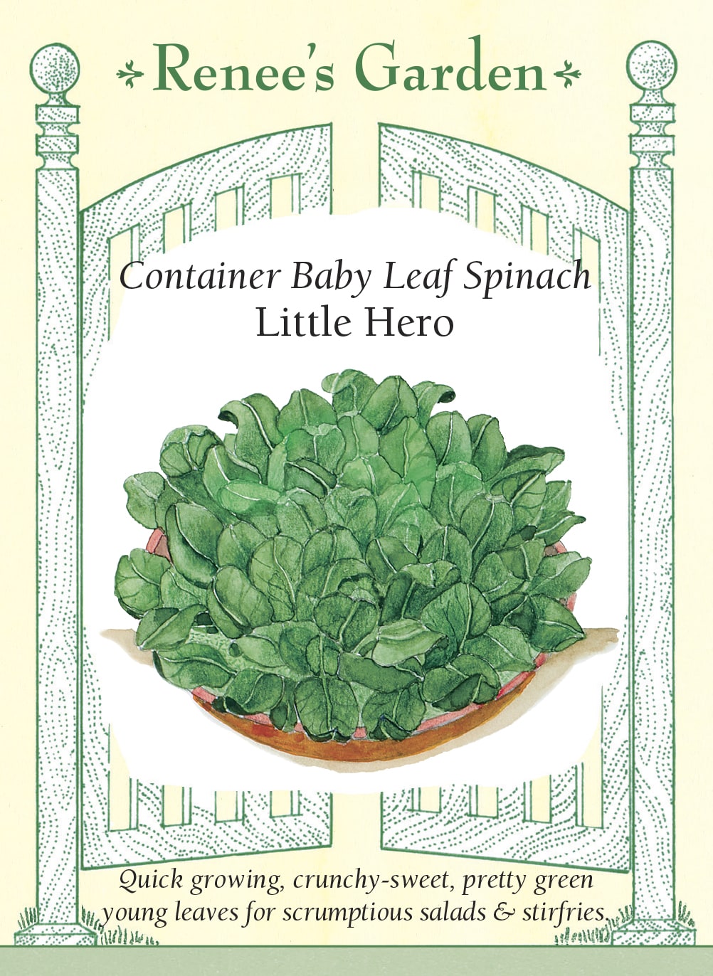 Visuel officiel de Renee's Garden pour les semences « Épinard ‘Little Hero’ », référence RN5454. Cet épinard est proposé pour les contenants et les petits espaces. Ses feuilles ovales, lisses et vert foncé se récoltent notamment jeunes. Le semencier décrit une texture croquante mais tendre et une saveur douce rappelant la noisette. Les plants vigoureux permettent d’obtenir une verdure fraîche à proximité de la cuisine.