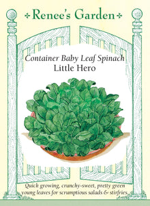 Visuel officiel de Renee's Garden pour les semences « Épinard ‘Little Hero’ », référence RN5454. Cet épinard est proposé pour les contenants et les petits espaces. Ses feuilles ovales, lisses et vert foncé se récoltent notamment jeunes. Le semencier décrit une texture croquante mais tendre et une saveur douce rappelant la noisette. Les plants vigoureux permettent d’obtenir une verdure fraîche à proximité de la cuisine.