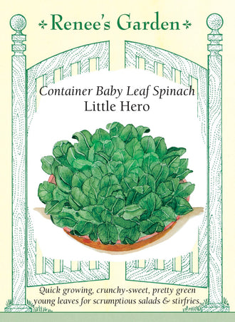 Visuel officiel de Renee's Garden pour les semences « Épinard ‘Little Hero’ », référence RN5454. Cet épinard est proposé pour les contenants et les petits espaces. Ses feuilles ovales, lisses et vert foncé se récoltent notamment jeunes. Le semencier décrit une texture croquante mais tendre et une saveur douce rappelant la noisette. Les plants vigoureux permettent d’obtenir une verdure fraîche à proximité de la cuisine.