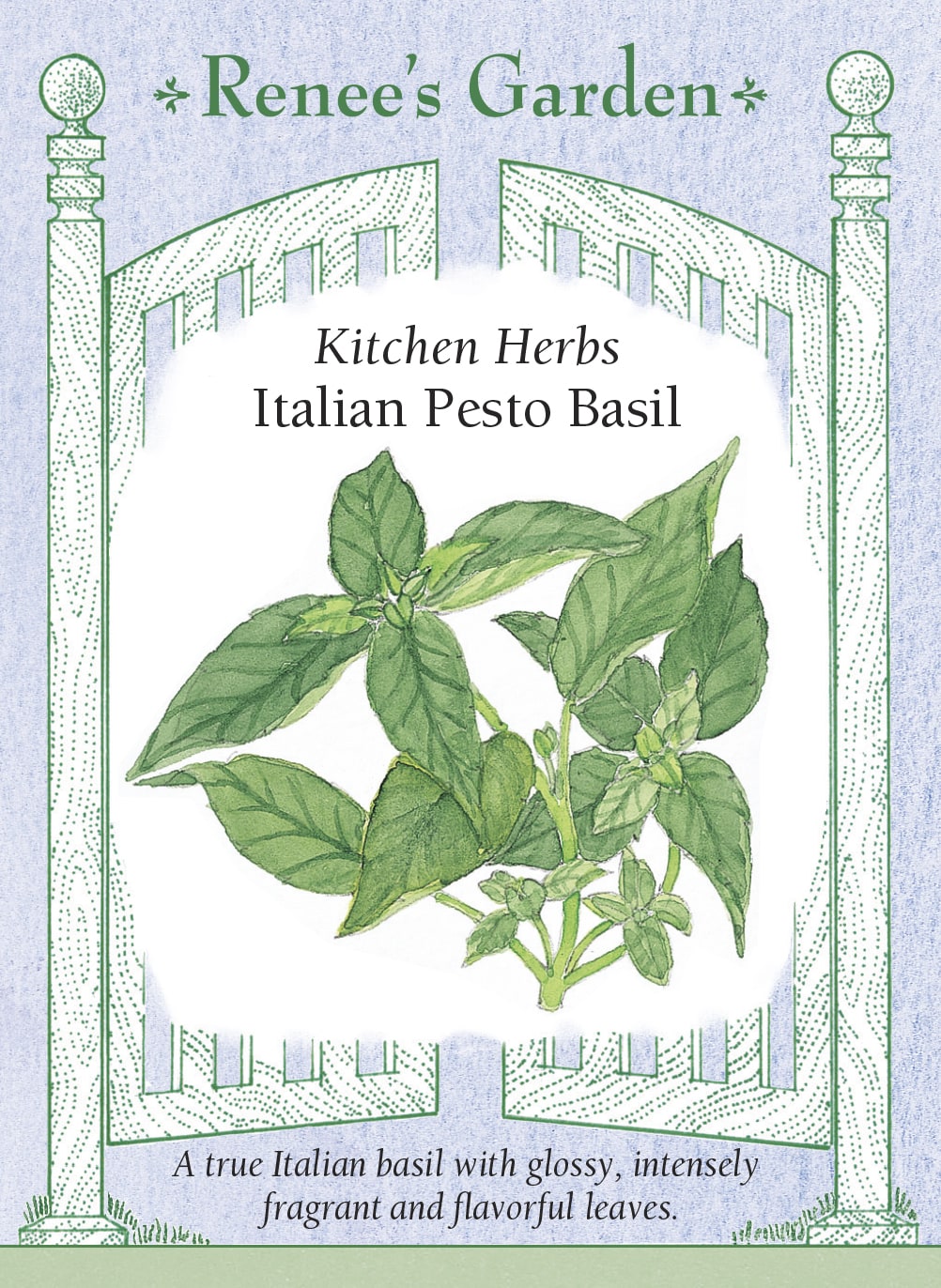 Visuel officiel de Renee's Garden pour les semences « Basilic pour pesto », référence RN5455. Cette sélection italienne porte des feuilles lustrées vert foncé, au parfum riche et épicé. Le semencier la propose notamment pour les pestos. Les feuilles peuvent aussi aromatiser des soupes, des plats de légumes ou des vinaigrettes. Aucun cultivar plus précis n’est confirmé par le nom commercial Italian Pesto Basil.
