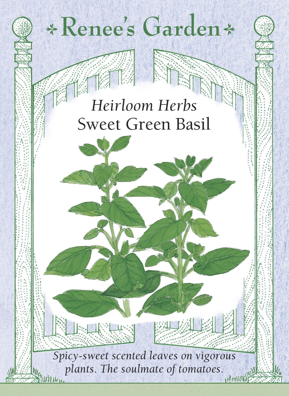 Visuel officiel de Renee's Garden pour les semences « Basilic doux », référence RN5456. Cette sélection vigoureuse fournit des feuilles aromatiques au parfum doux et épicé, avec des nuances de menthe et de clou de girofle. Le semencier la propose pour accompagner les tomates et différents plats de légumes. Son feuillage parfumé permet de prélever de petites quantités au fil des préparations culinaires.