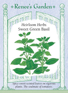 Visuel officiel de Renee's Garden pour les semences « Basilic doux », référence RN5456. Cette sélection vigoureuse fournit des feuilles aromatiques au parfum doux et épicé, avec des nuances de menthe et de clou de girofle. Le semencier la propose pour accompagner les tomates et différents plats de légumes. Son feuillage parfumé permet de prélever de petites quantités au fil des préparations culinaires.