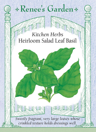 Visuel officiel de Renee's Garden pour les semences « Basilic à feuilles de laitue », référence RN5457. Cette sélection produit de larges feuilles tendres et gaufrées, pouvant atteindre environ 10 cm (4 po). Le semencier décrit une saveur douce et un parfum délicat. Les feuilles peuvent être émincées dans les salades, glissées dans les sandwichs ou utilisées pour envelopper de petites garnitures culinaires.