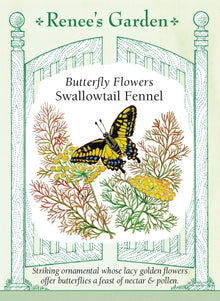 Visuel officiel de Renee's Garden associé aux semences de Fenouil bronze pour jardin de papillons, référence RN5458. Ce fenouil décoratif atteint environ 1,2 à 1,5 m (4 à 5 pi). Son feuillage fin bleu-vert présente des pointes cuivrées, et les tiges portent des ombelles dorées. Le semencier le propose pour les jardins accueillant les papillons. Les feuilles dégagent un parfum anisé.