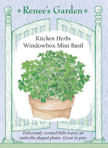 Visuel officiel de Renee's Garden pour les semences « Basilic nain pour jardinières », référence RN5459. Cette sélection italienne forme des plants arrondis d’environ 20 à 25 cm (8 à 10 po). Les petites feuilles vert vif mesurent autour de 13 mm (1/2 po). Le semencier décrit un feuillage très aromatique. Le port compact convient aux jardinières, aux contenants et aux petites bordures de fines herbes.