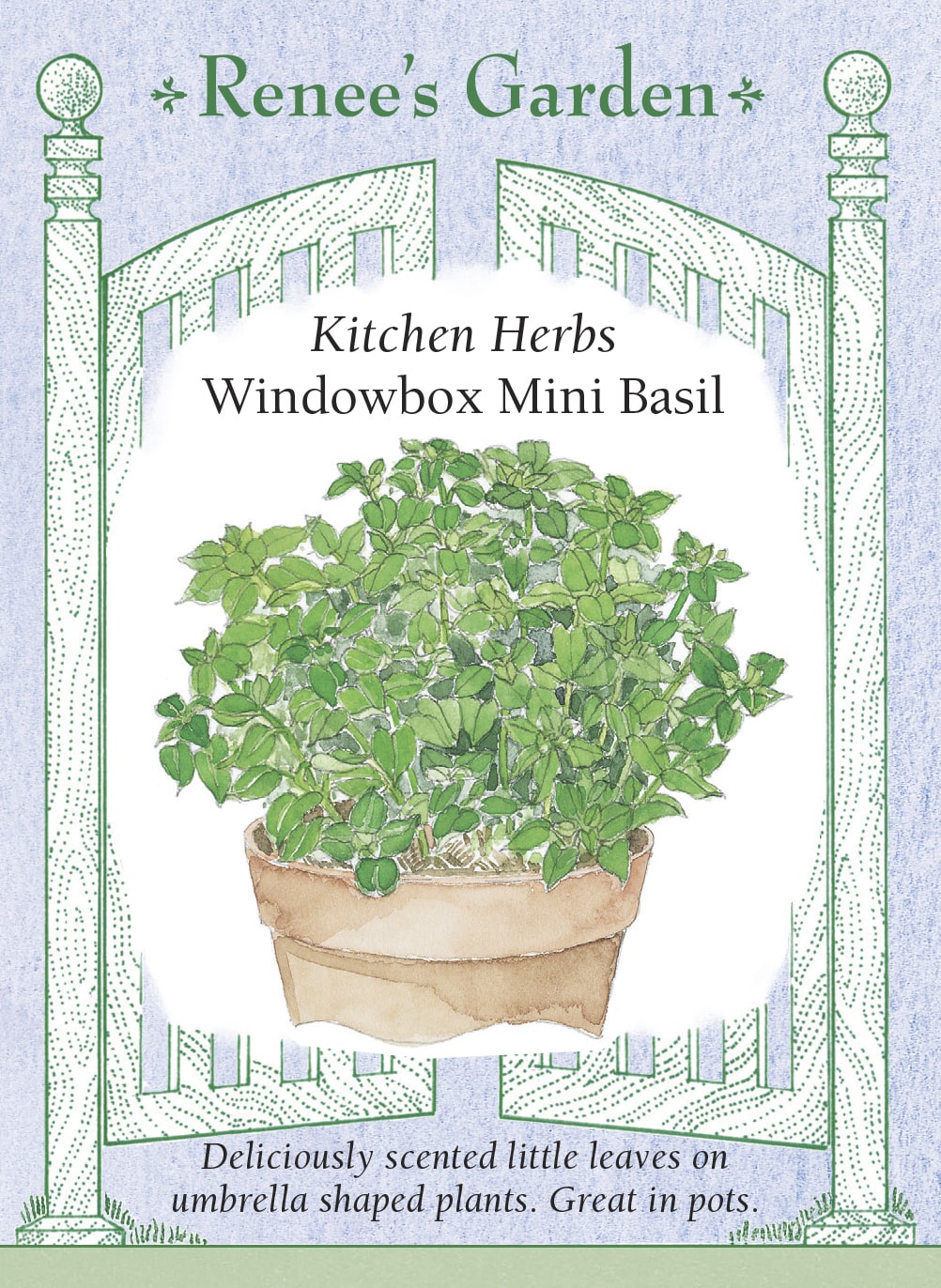 Visuel officiel de Renee's Garden pour les semences « Basilic nain pour jardinières », référence RN5459. Cette sélection italienne forme des plants arrondis d’environ 20 à 25 cm (8 à 10 po). Les petites feuilles vert vif mesurent autour de 13 mm (1/2 po). Le semencier décrit un feuillage très aromatique. Le port compact convient aux jardinières, aux contenants et aux petites bordures de fines herbes.