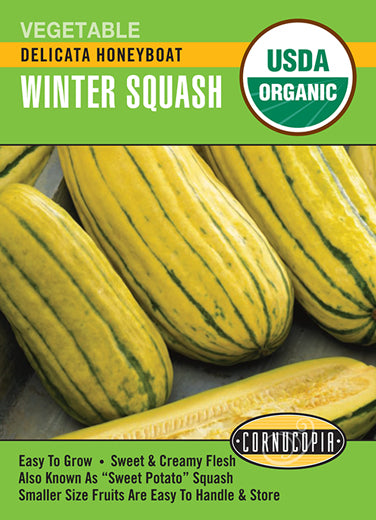 Visuel officiel de Cornucopia associé aux semences de Courge d’hiver ‘Honeyboat’, référence CS546. Cette référence propose une courge de type delicata nommée Honeyboat. Les fruits sont destinés à la récolte à maturité pour les préparations de courges d’hiver. Cette image accompagne la fiche de cette sélection et permet de repérer le produit correspondant dans le catalogue de semences.
