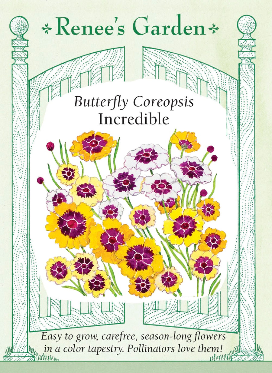 Visuel officiel de Renee's Garden associé aux semences de Coréopsis en mélange Incredible, référence RN5461. Ce mélange réunit des fleurs crème, jaunes, rouges et bordeaux au-dessus d’un feuillage léger. Le semencier décrit une floraison prolongée de l’été jusqu’au froid. Les plants sont proposés pour les plates-bandes et les bouquets. Les différences de couleur font partie de la composition du mélange.