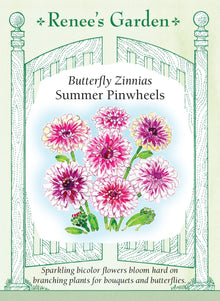 Visuel officiel de Renee's Garden associé aux semences de Zinnia ‘Summer Pinwheels’, référence RN5462. Les fleurs doubles présentent un centre rose cerise et des pétales terminés de blanc crème. Les plantes ramifiées atteignent environ 90 à 105 cm (3 à 3½ pi). Les longues tiges fournissent des fleurs bicolores pour les bouquets.