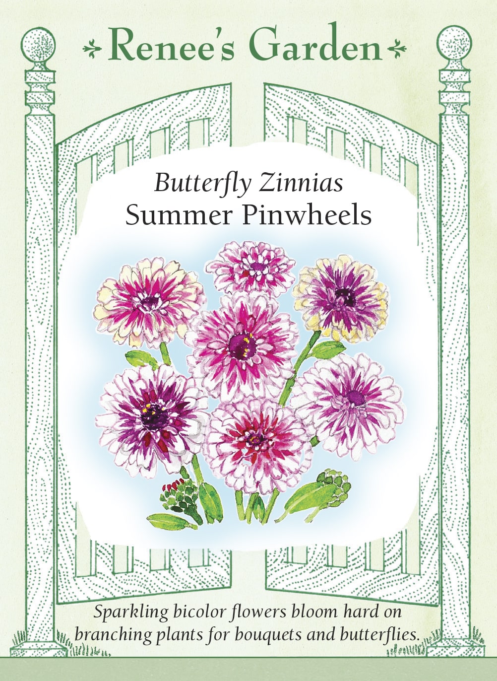 Visuel officiel de Renee's Garden associé aux semences de Zinnia ‘Summer Pinwheels’, référence RN5462. Les fleurs doubles présentent un centre rose cerise et des pétales terminés de blanc crème. Les plantes ramifiées atteignent environ 90 à 105 cm (3 à 3½ pi). Les longues tiges fournissent des fleurs bicolores pour les bouquets.