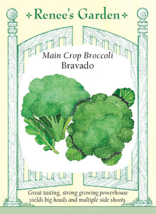 Visuel officiel de Renee's Garden pour les semences « Brocoli ‘Bravado’ », référence RN5463. Ce brocoli hybride porte de grosses pommes bombées bleu-vert, constituées de boutons serrés. Après la coupe de la pomme principale, les plants peuvent produire des pousses latérales. Le semencier souligne une texture croquante et une bonne aptitude à plusieurs préparations. Les fleurettes peuvent être utilisées dans les sautés, cuites à la vapeur ou au four, selon la texture souhaitée.