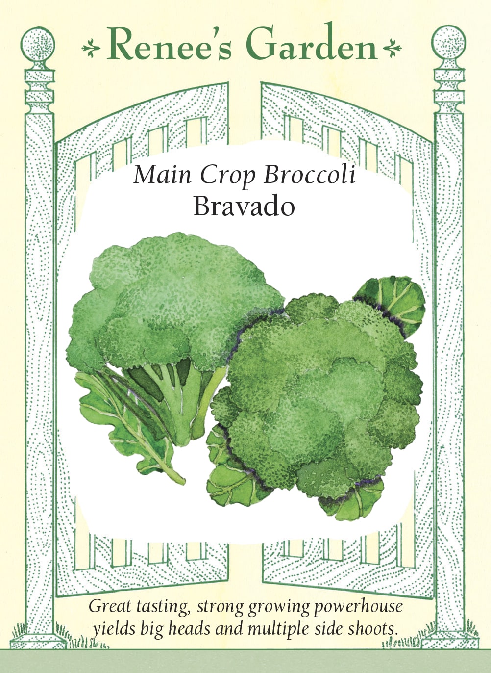 Visuel officiel de Renee's Garden pour les semences « Brocoli ‘Bravado’ », référence RN5463. Ce brocoli hybride porte de grosses pommes bombées bleu-vert, constituées de boutons serrés. Après la coupe de la pomme principale, les plants peuvent produire des pousses latérales. Le semencier souligne une texture croquante et une bonne aptitude à plusieurs préparations. Les fleurettes peuvent être utilisées dans les sautés, cuites à la vapeur ou au four, selon la texture souhaitée.