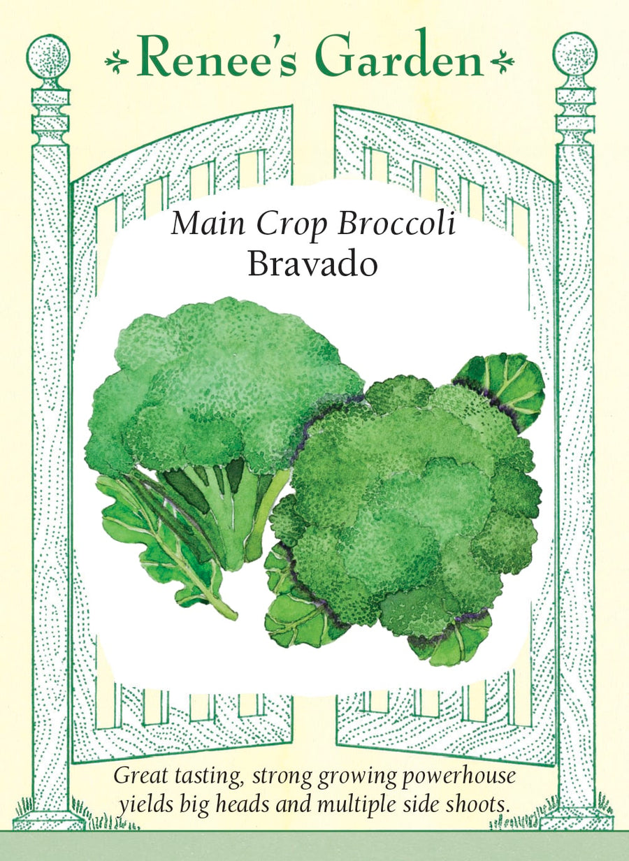 Visuel officiel de Renee's Garden pour les semences « Brocoli ‘Bravado’ », référence RN5463. Ce brocoli hybride porte de grosses pommes bombées bleu-vert, constituées de boutons serrés. Après la coupe de la pomme principale, les plants peuvent produire des pousses latérales. Le semencier souligne une texture croquante et une bonne aptitude à plusieurs préparations. Les fleurettes peuvent être utilisées dans les sautés, cuites à la vapeur ou au four, selon la texture souhaitée.