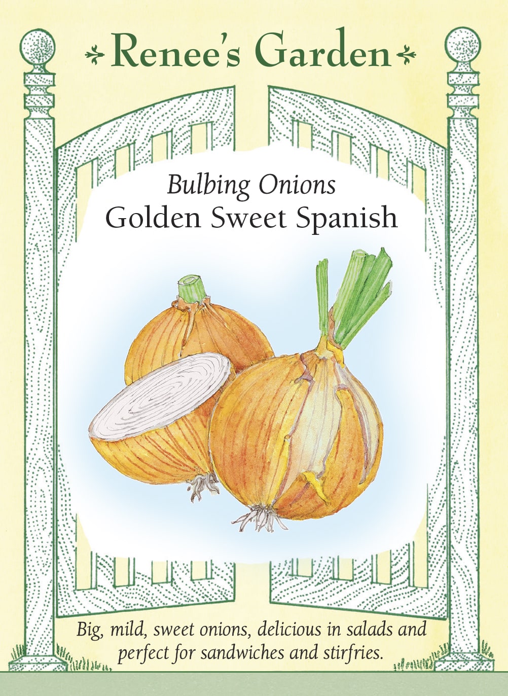 Visuel officiel de Renee's Garden pour les semences « Oignon ‘Golden Sweet Spanish’ », référence RN5465. Cet oignon forme de gros bulbes à chair blanche, enveloppés de tuniques cuivrées. Le semencier décrit une saveur douce, adaptée à la consommation crue comme à la cuisson. Les bulbes peuvent être utilisés dans les salades, les sautés et les plats rôtis. La référence est destinée à être consommée dans les mois suivant la récolte.