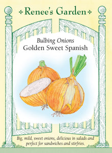 Visuel officiel de Renee's Garden pour les semences « Oignon ‘Golden Sweet Spanish’ », référence RN5465. Cet oignon forme de gros bulbes à chair blanche, enveloppés de tuniques cuivrées. Le semencier décrit une saveur douce, adaptée à la consommation crue comme à la cuisson. Les bulbes peuvent être utilisés dans les salades, les sautés et les plats rôtis. La référence est destinée à être consommée dans les mois suivant la récolte.