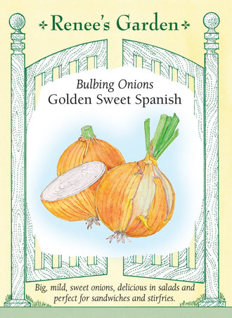 Visuel officiel de Renee's Garden pour les semences « Oignon ‘Golden Sweet Spanish’ », référence RN5465. Cet oignon forme de gros bulbes à chair blanche, enveloppés de tuniques cuivrées. Le semencier décrit une saveur douce, adaptée à la consommation crue comme à la cuisson. Les bulbes peuvent être utilisés dans les salades, les sautés et les plats rôtis. La référence est destinée à être consommée dans les mois suivant la récolte.