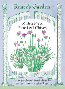 Visuel officiel de Renee's Garden associé aux semences de Ciboulette à feuilles fines, référence RN5470. Cette ciboulette forme des touffes de feuilles minces, accompagnées de fleurs rose lilas. Le semencier décrit un feuillage tendre à saveur douce d’oignon. Les feuilles peuvent être ciselées dans les salades et sur les plats d’œufs, de pommes de terre ou de riz. Le port convient aussi aux petites bordures.