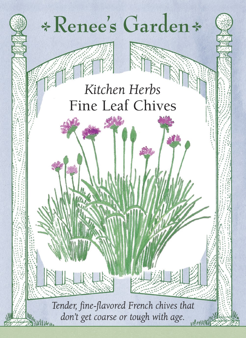 Visuel officiel de Renee's Garden associé aux semences de Ciboulette à feuilles fines, référence RN5470. Cette ciboulette forme des touffes de feuilles minces, accompagnées de fleurs rose lilas. Le semencier décrit un feuillage tendre à saveur douce d’oignon. Les feuilles peuvent être ciselées dans les salades et sur les plats d’œufs, de pommes de terre ou de riz. Le port convient aussi aux petites bordures.