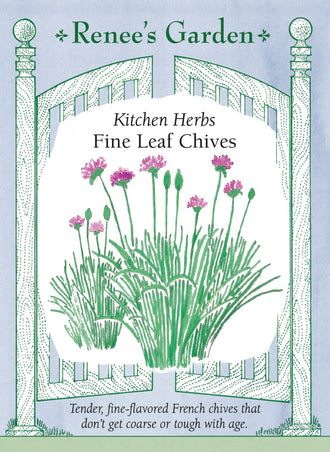 Visuel officiel de Renee's Garden associé aux semences de Ciboulette à feuilles fines, référence RN5470. Cette ciboulette forme des touffes de feuilles minces, accompagnées de fleurs rose lilas. Le semencier décrit un feuillage tendre à saveur douce d’oignon. Les feuilles peuvent être ciselées dans les salades et sur les plats d’œufs, de pommes de terre ou de riz. Le port convient aussi aux petites bordures.