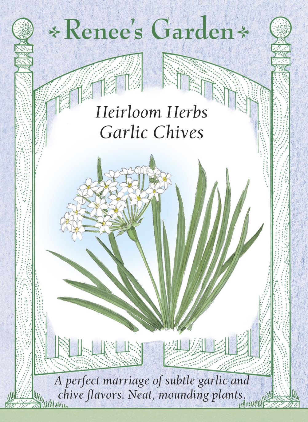 Visuel officiel de Renee's Garden associé aux semences de Ciboulette à l’ail, référence RN5472. Cette ciboulette porte des feuilles plates et étroites, avec une saveur qui rappelle l’ail. Le semencier l’identifie comme Allium tuberosum et mentionne des fleurs blanches comestibles. Les feuilles se récoltent pour les garnitures et la cuisine. La forme plate des feuilles la distingue de la ciboulette commune.