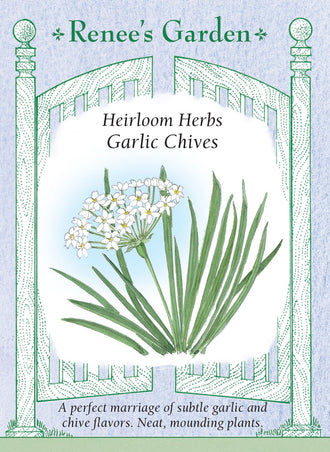 Visuel officiel de Renee's Garden associé aux semences de Ciboulette à l’ail, référence RN5472. Cette ciboulette porte des feuilles plates et étroites, avec une saveur qui rappelle l’ail. Le semencier l’identifie comme Allium tuberosum et mentionne des fleurs blanches comestibles. Les feuilles se récoltent pour les garnitures et la cuisine. La forme plate des feuilles la distingue de la ciboulette commune.