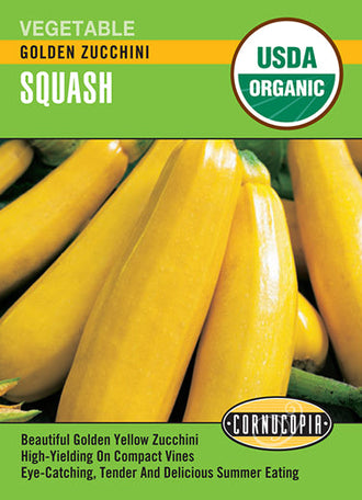 Visuel officiel de Cornucopia associé aux semences de Courgette ‘Golden’, référence CS548. Cette référence propose la courgette Golden. Les fruits se récoltent jeunes et régulièrement afin de préserver leur tendreté et de soutenir la production. Cette image accompagne la fiche de cette sélection et permet de repérer le produit correspondant dans le catalogue de semences.