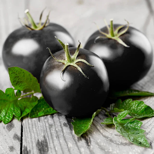 Semences Hortinova de Tomate cerise 'Black Bamby' F1, produit destiné au potager et présenté pour identifier clairement le cultivar avant le semis. Vue 1 de l'emballage ou du produit, à utiliser comme repère visuel avec les conseils de culture, l'exposition, l'arrosage et la récolte indiqués dans la fiche française de Pépinière.ca.