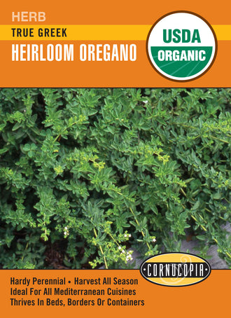 Visuel officiel de Cornucopia associé aux semences d’Origan grec, référence CS550. Cette référence propose de l’origan grec. Les feuilles aromatiques sont destinées à la cuisine et peuvent être récoltées progressivement dans un jardin d’herbes ou un contenant adapté. Cette image accompagne la fiche de cette sélection et permet de repérer le produit correspondant dans le catalogue de semences.