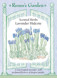 Visuel officiel de Renee's Garden associé aux semences de Lavande ‘Hidcote’, référence RN5500. ‘Hidcote’ porte un feuillage étroit argenté et des épis aux calices pourpre foncé. Le semencier souligne le parfum des fleurs. Les tiges peuvent être coupées et suspendues dans un endroit frais et aéré pour le séchage. Les épis secs conviennent aux petits bouquets et aux sachets parfumés.