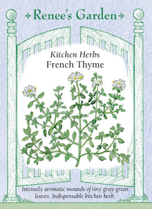 Visuel officiel de Renee's Garden associé aux semences de Thym commun, référence RN5505. Cette sélection culinaire porte de petites feuilles gris-vert sur des tiges ramifiées. Le semencier décrit un parfum intense qui s’accorde avec l’ail, le citron et les autres fines herbes. Les feuilles aromatisent les légumes et les préparations salées. Les tiges peuvent être séchées ou préparées pour la congélation.