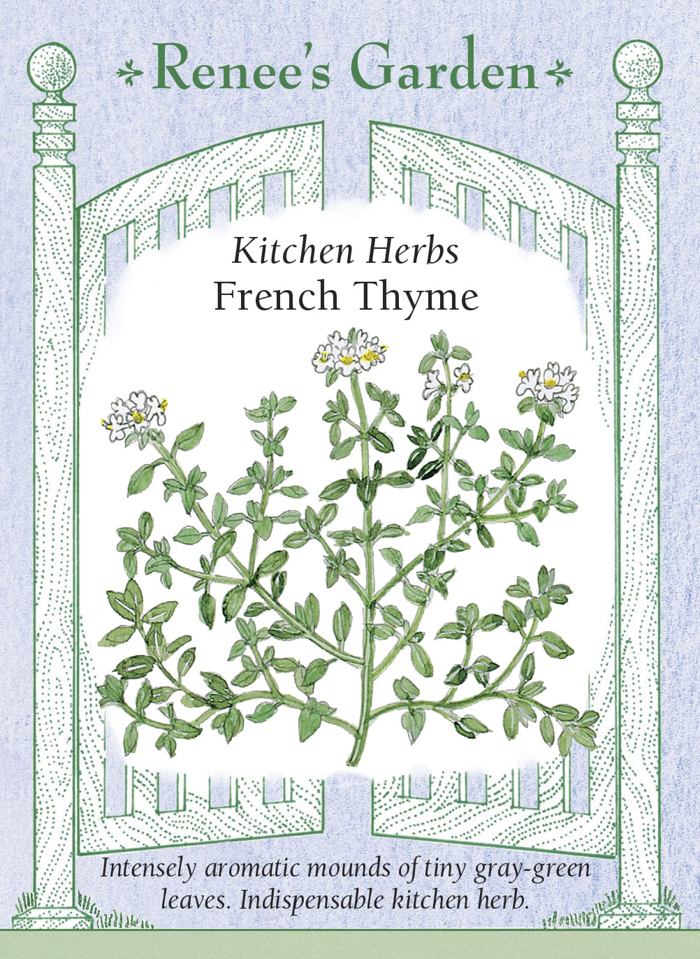 Visuel officiel de Renee's Garden associé aux semences de Thym commun, référence RN5505. Cette sélection culinaire porte de petites feuilles gris-vert sur des tiges ramifiées. Le semencier décrit un parfum intense qui s’accorde avec l’ail, le citron et les autres fines herbes. Les feuilles aromatisent les légumes et les préparations salées. Les tiges peuvent être séchées ou préparées pour la congélation.