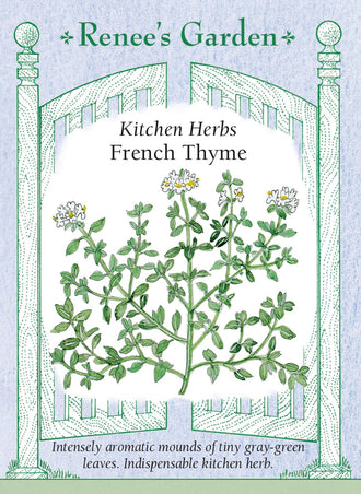 Visuel officiel de Renee's Garden associé aux semences de Thym commun, référence RN5505. Cette sélection culinaire porte de petites feuilles gris-vert sur des tiges ramifiées. Le semencier décrit un parfum intense qui s’accorde avec l’ail, le citron et les autres fines herbes. Les feuilles aromatisent les légumes et les préparations salées. Les tiges peuvent être séchées ou préparées pour la congélation.