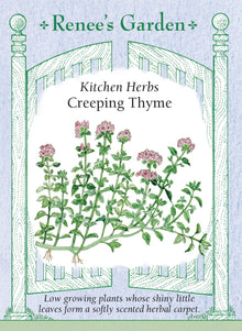 Visuel officiel de Renee's Garden associé aux semences de Thym serpolet, référence RN5507. Cette sélection de Thymus serpyllum forme un tapis de petites feuilles vert foncé, haut d’environ 8 à 13 cm (3 à 5 po). Le feuillage dégage un parfum léger lorsqu’il est froissé. Le semencier le propose pour les bordures, les rocailles et les espaces entre les pierres, selon les conditions du site.