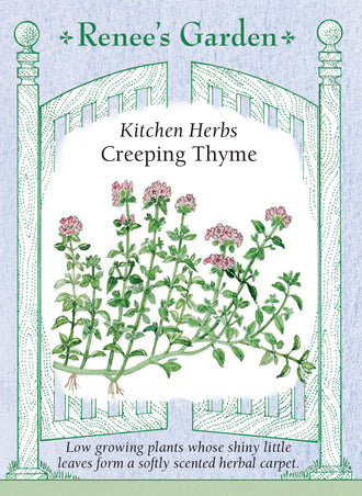 Visuel officiel de Renee's Garden associé aux semences de Thym serpolet, référence RN5507. Cette sélection de Thymus serpyllum forme un tapis de petites feuilles vert foncé, haut d’environ 8 à 13 cm (3 à 5 po). Le feuillage dégage un parfum léger lorsqu’il est froissé. Le semencier le propose pour les bordures, les rocailles et les espaces entre les pierres, selon les conditions du site.