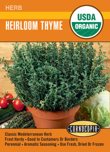 Visuel officiel de Cornucopia associé aux semences de Thym, référence CS551. Le semencier recommande un sol bien drainé et un semis fin, maintenu humide jusqu’à la levée. Les jeunes plants sont ensuite regroupés en petites touffes. Les rameaux se récoltent lorsque les plantes sont bien établies. Cette image accompagne la fiche de cette sélection et permet de repérer le produit correspondant dans le catalogue de semences.