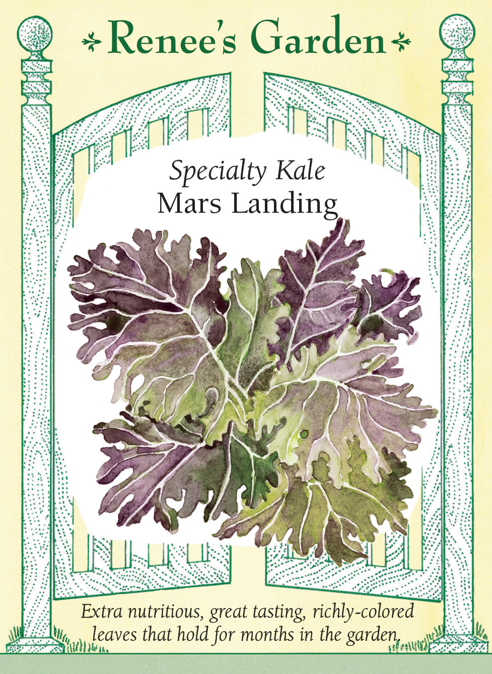 Visuel officiel de Renee's Garden pour les semences « Chou frisé ‘Mars Landing’ », référence RN5510. Ce chou-feuille se distingue par un dessus bronze pourpré et un revers vert clair. Les bords sont découpés et festonnés. Le semencier souligne une texture tendre et une bonne tenue des feuilles au jardin. Le feuillage peut être utilisé en salade après préparation ou cuit à la vapeur, braisé et incorporé aux soupes.