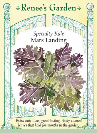 Visuel officiel de Renee's Garden pour les semences « Chou frisé ‘Mars Landing’ », référence RN5510. Ce chou-feuille se distingue par un dessus bronze pourpré et un revers vert clair. Les bords sont découpés et festonnés. Le semencier souligne une texture tendre et une bonne tenue des feuilles au jardin. Le feuillage peut être utilisé en salade après préparation ou cuit à la vapeur, braisé et incorporé aux soupes.