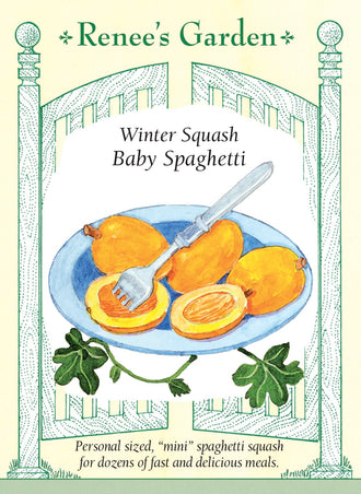 Visuel officiel de Renee's Garden pour les semences « Courge spaghetti ‘Baby Spaghetti’ », référence RN5511. Cette petite courge spaghetti mesure environ 10 à 13 cm (4 à 5 po). Les fruits dorés poussent sur des tiges relativement compactes qui peuvent être guidées sur un support. Après cuisson, la chair se détache en filaments. Le semencier souligne le petit format des fruits et leur aptitude à la conservation après récolte.